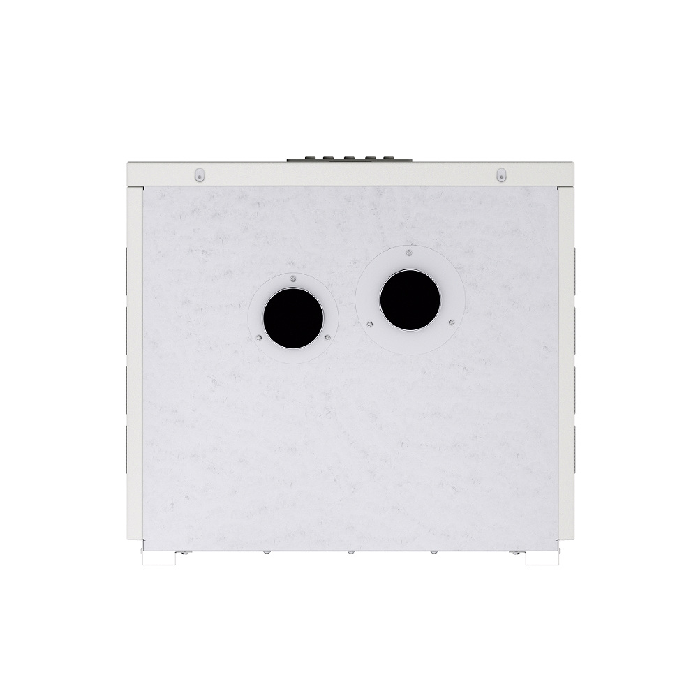 Настенный газовый котел ЛЕМАКС PRIME-V55 НО